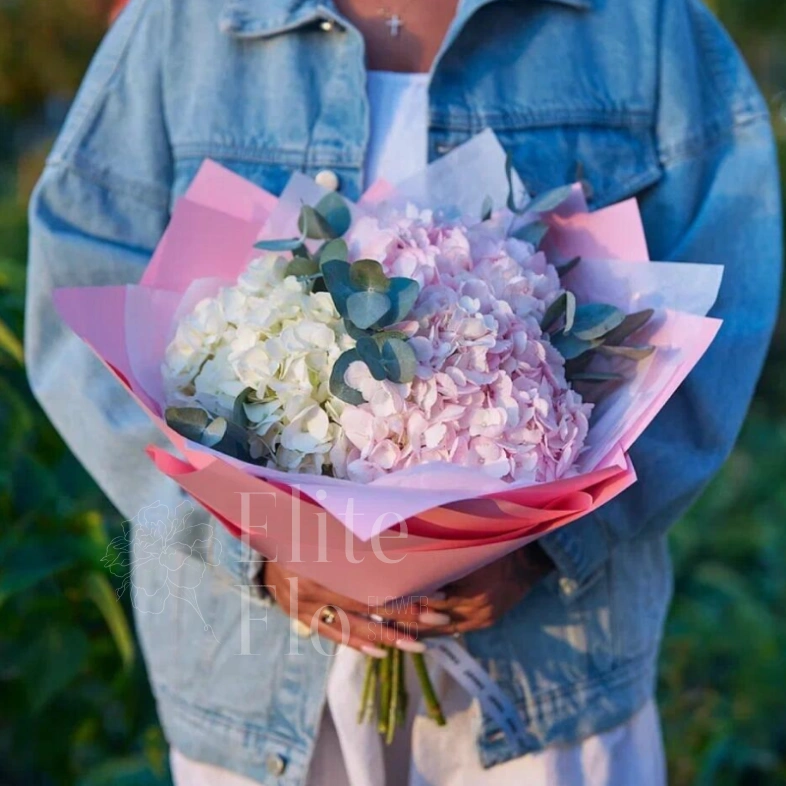 Очаровательные гортензии