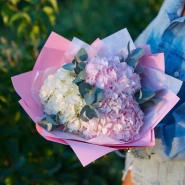 Очаровательные гортензии 1