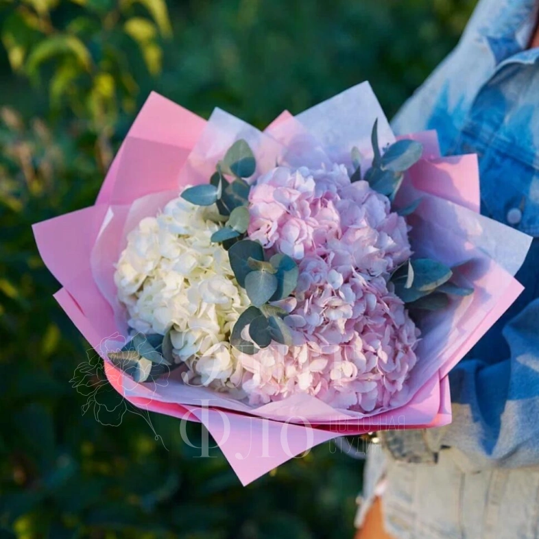 Очаровательные гортензии