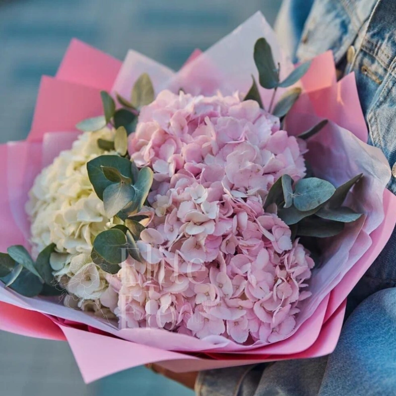 Очаровательные гортензии