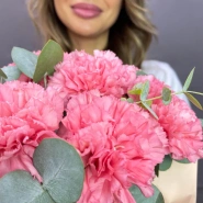 Коробочка диантусов 1