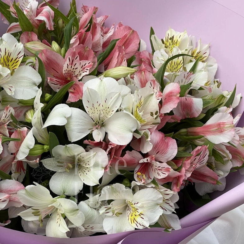 Букет из 11 альстромерий