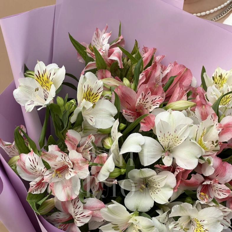 Букет из 11 альстромерий