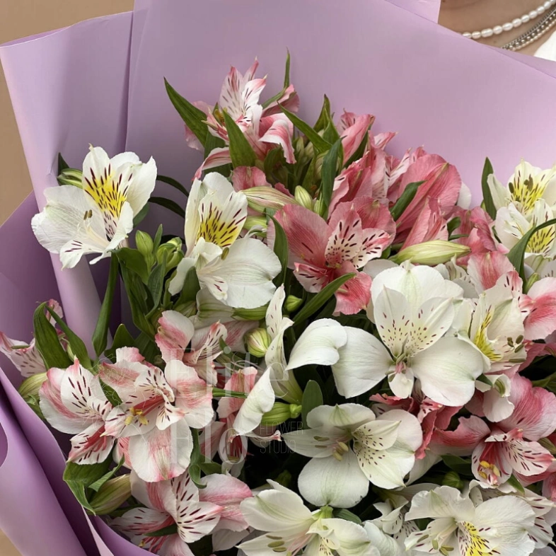 Букет из 11 альстромерий