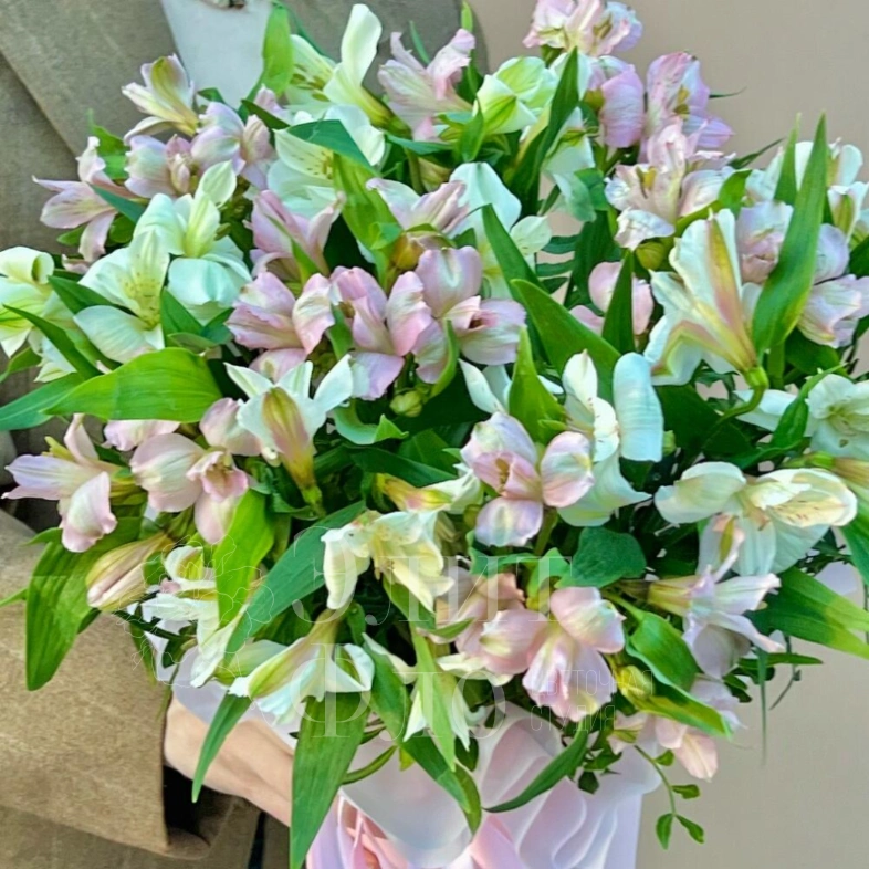 Стильная коробочка с альстромерией