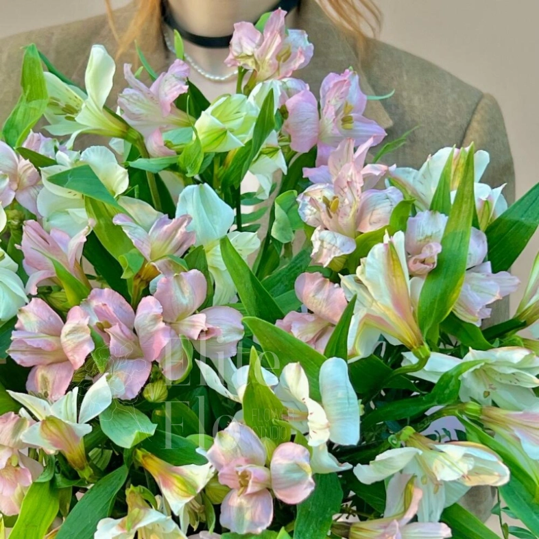 Стильная коробочка с альстромерией