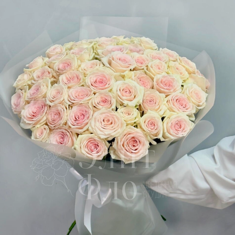 51 нежно-розовая роза