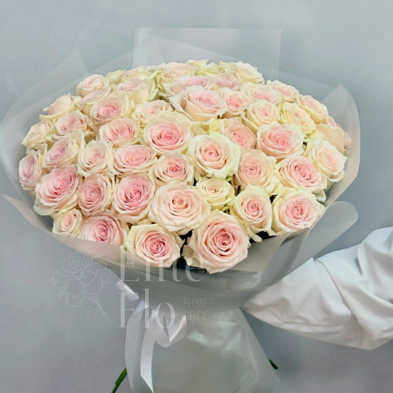 51 нежно-розовая роза