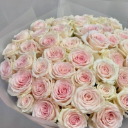 51 нежно-розовая роза 3