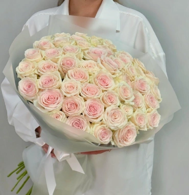 51 нежно-розовая роза