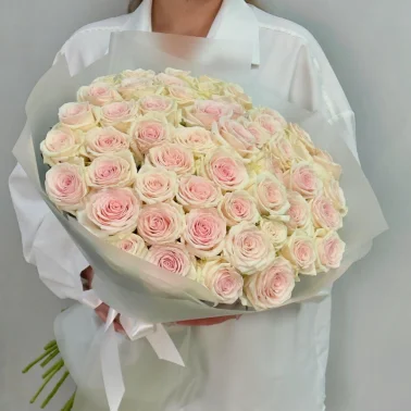 51 нежно-розовая роза