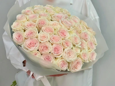 51 нежно-розовая роза