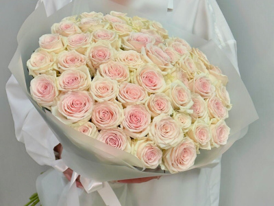 51 нежно-розовая роза