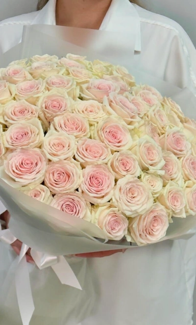 51 нежно-розовая роза