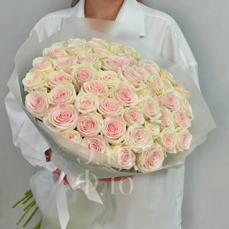 51 нежно-розовая роза