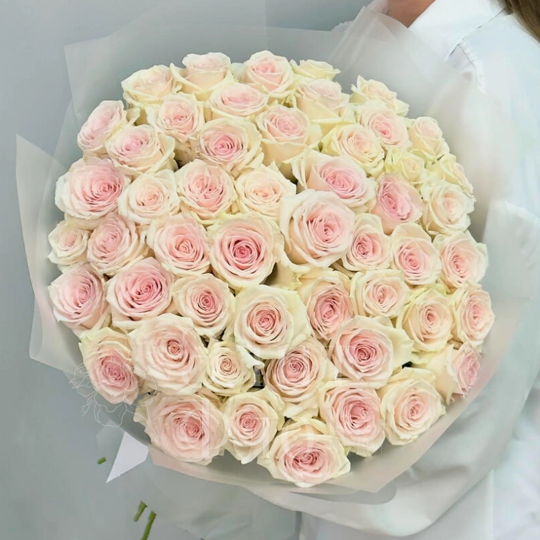 51 нежно-розовая роза