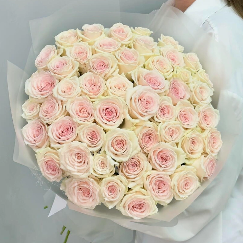 51 нежно-розовая роза