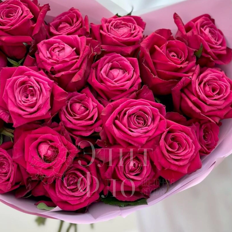 19 малиновый роз