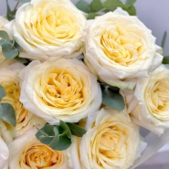 11 пионовидной роз 4