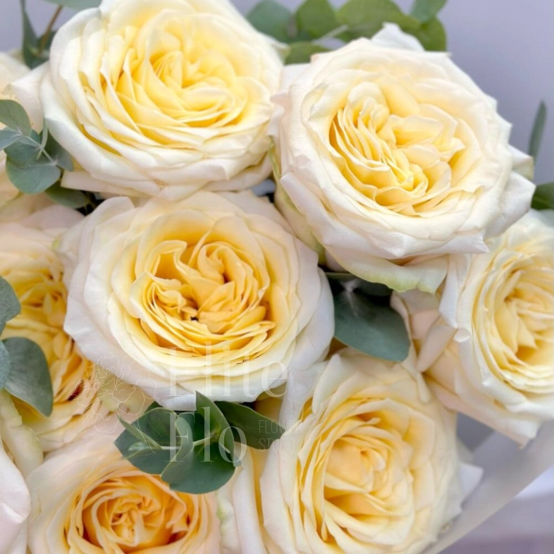 11 пионовидной роз