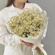 Нежные ромашки 1