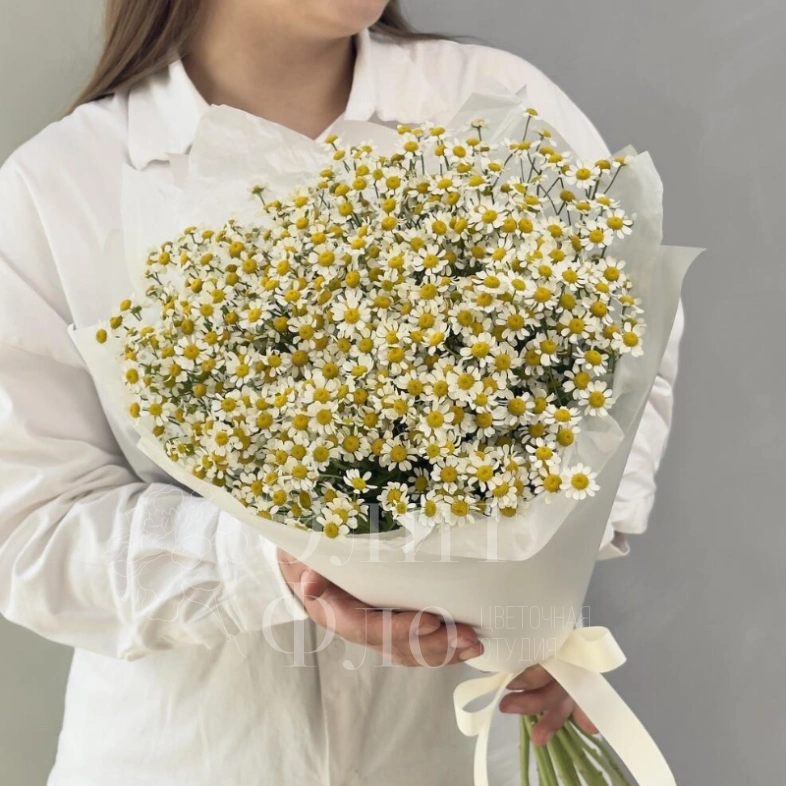 Нежные ромашки