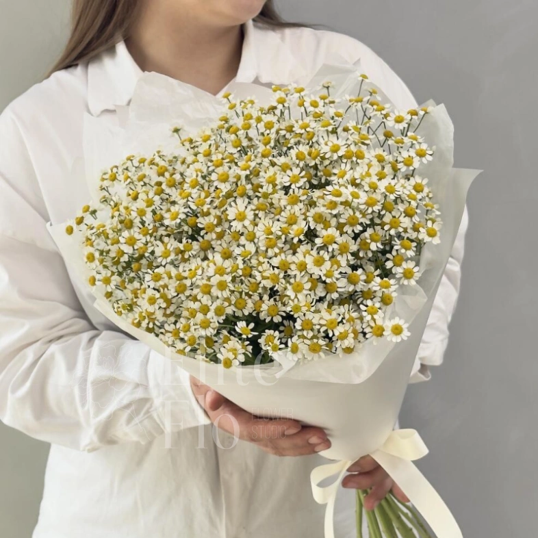 Нежные ромашки