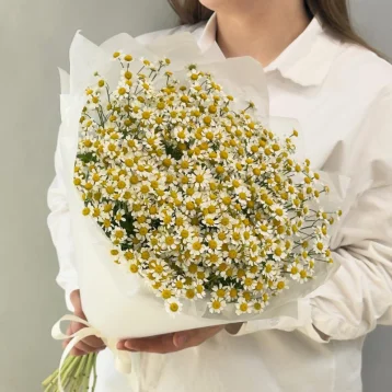 Нежные ромашки