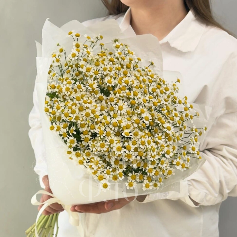 Нежные ромашки