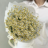 Нежные ромашки 3