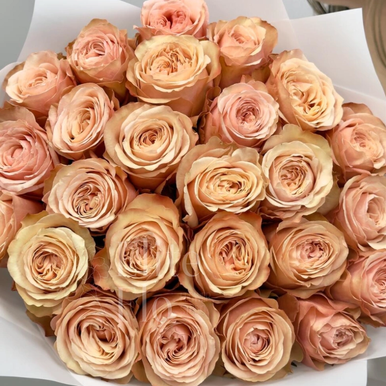 25 чайных роз 