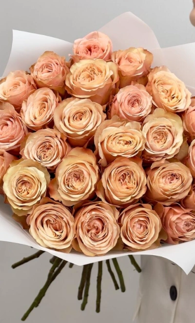 25 чайных роз 