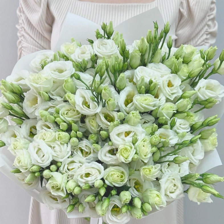 Белые эустомы