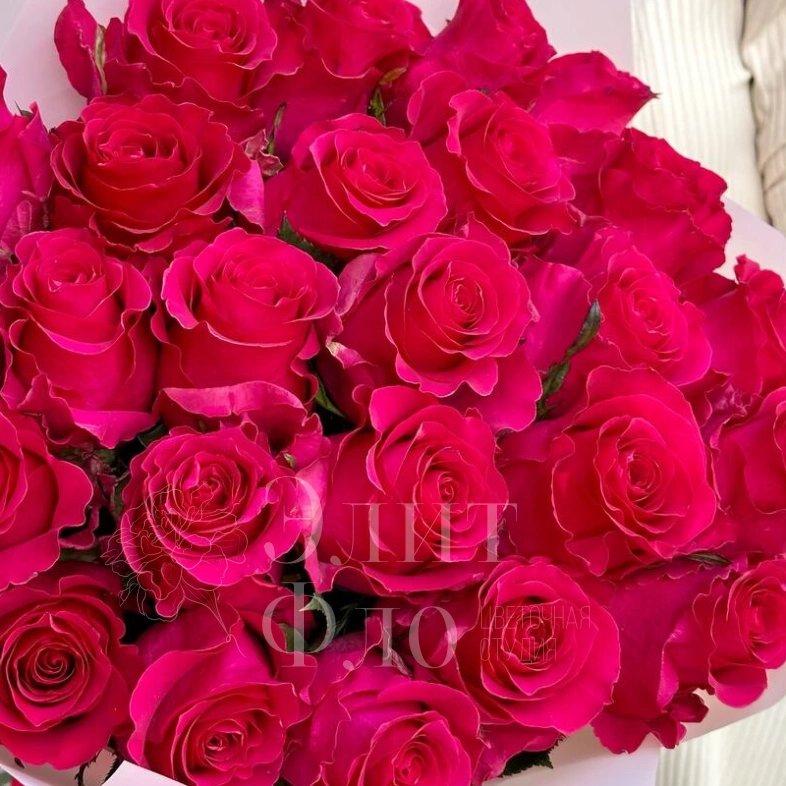 Роскошные малиновые розы
