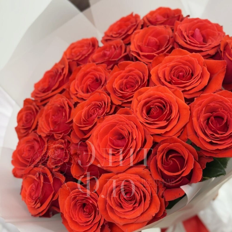 25 алых роз
