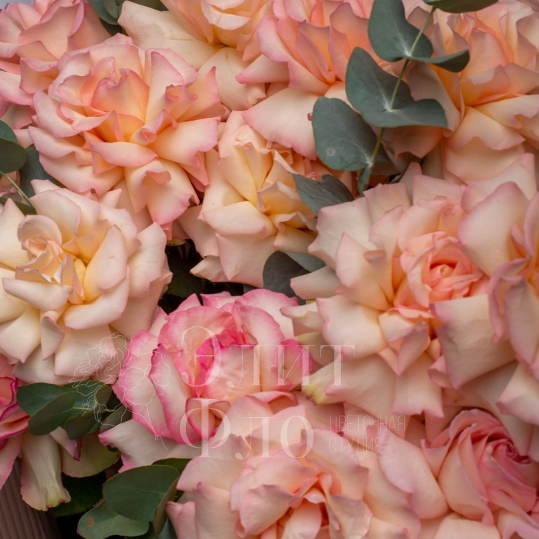 Французские розы с ароматным эвкалиптом, стильное оформление