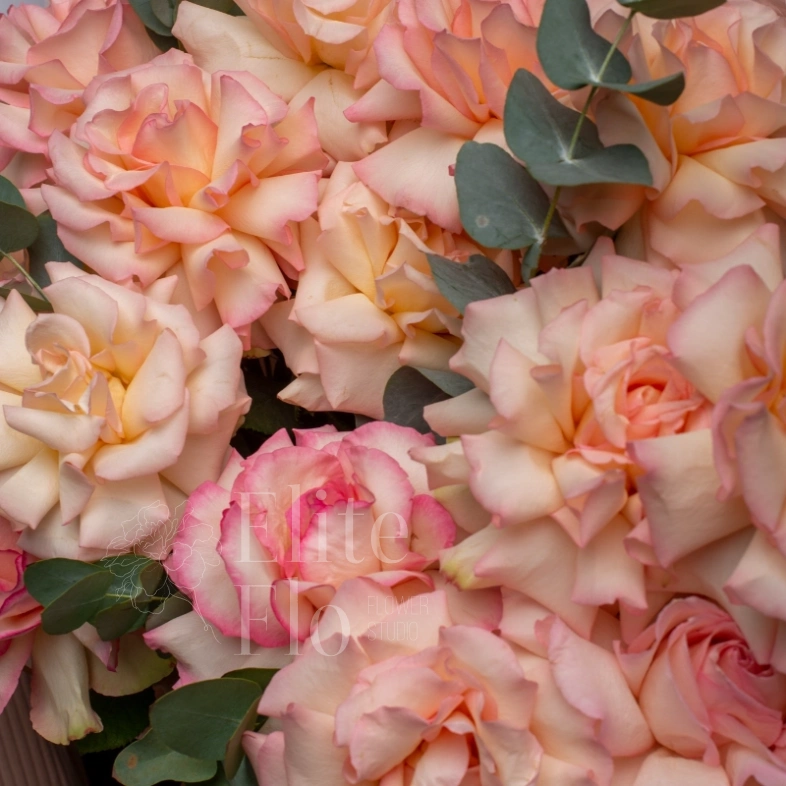 Французские розы с ароматным эвкалиптом, стильное оформление