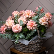 Потрясающая корзина из 21 Французской розы и Эвкалипта 2