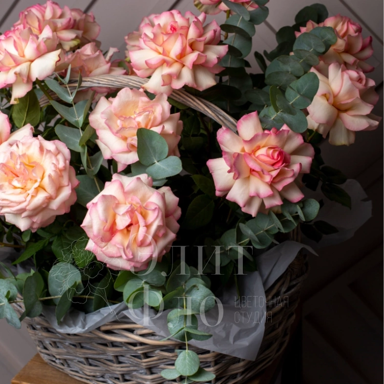 Потрясающая корзина из 21 Французской розы и Эвкалипта