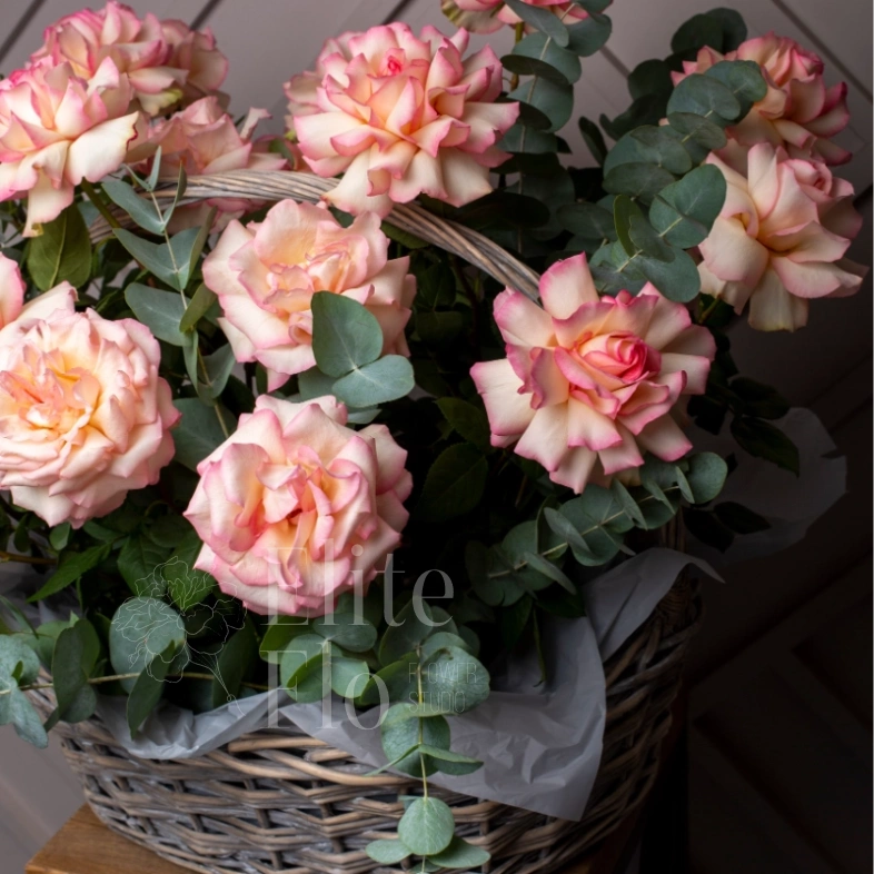 Потрясающая корзина из 21 Французской розы и Эвкалипта