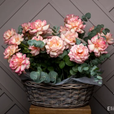 Потрясающая корзина из 21 Французской розы и Эвкалипта