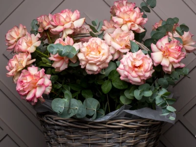 Потрясающая корзина из 21 Французской розы и Эвкалипта