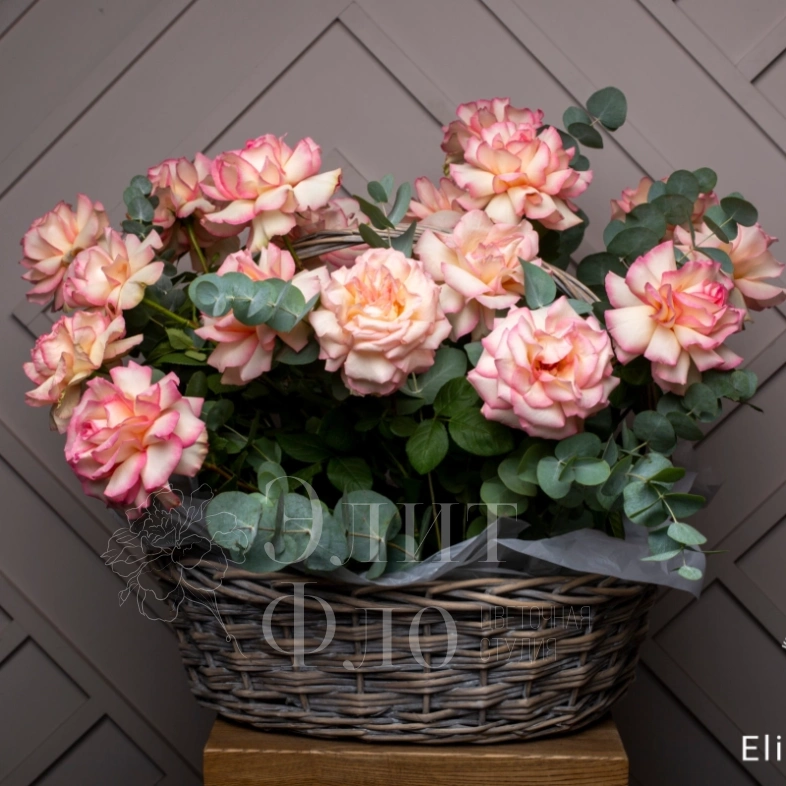 Потрясающая корзина из 21 Французской розы и Эвкалипта