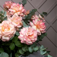 Потрясающая корзина из 21 Французской розы и Эвкалипта 3