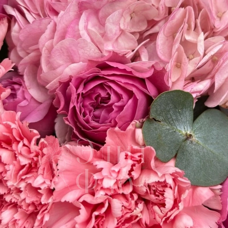 Букет из пионовидной розы и диантусов