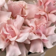 Букет из 5 французских роз 3