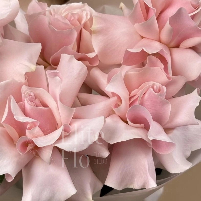 Букет из 5 французских роз