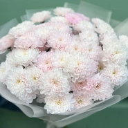 Нежный букет из 11 хризантем 3