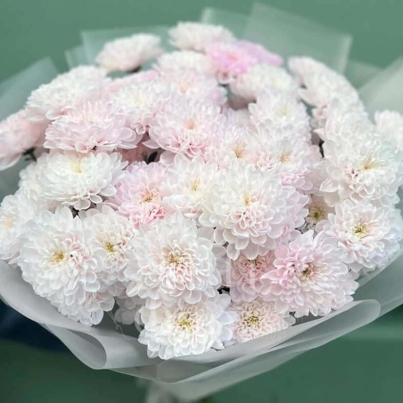 Нежный букет из 11 хризантем