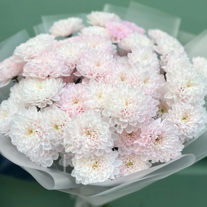 Нежный букет из 11 хризантем